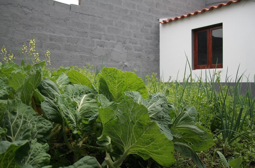 Casa Azul Natura Ponta Delgada Kültér fotó
